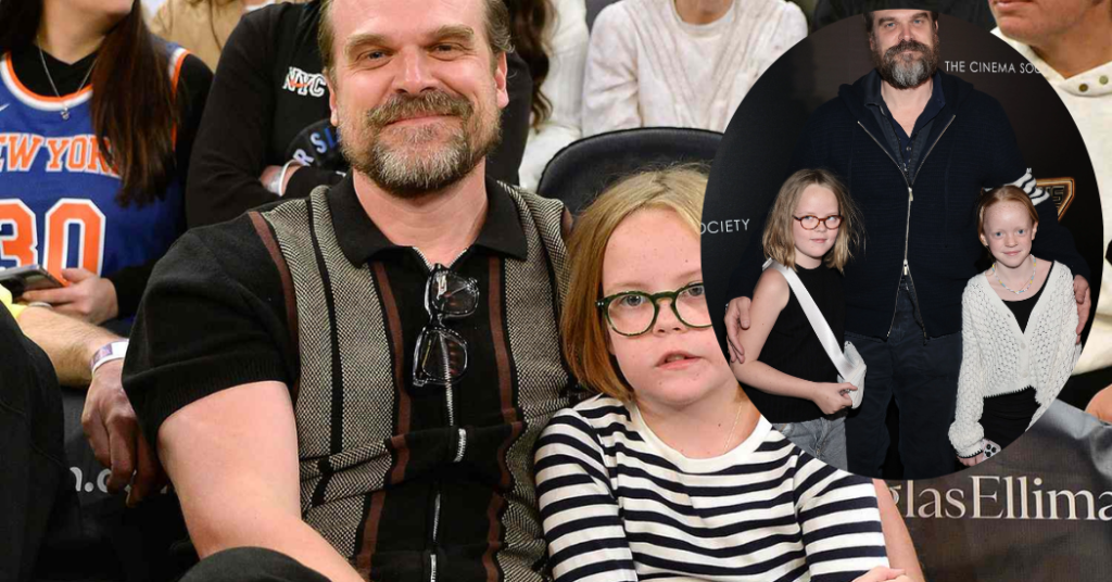 David Harbour Networth